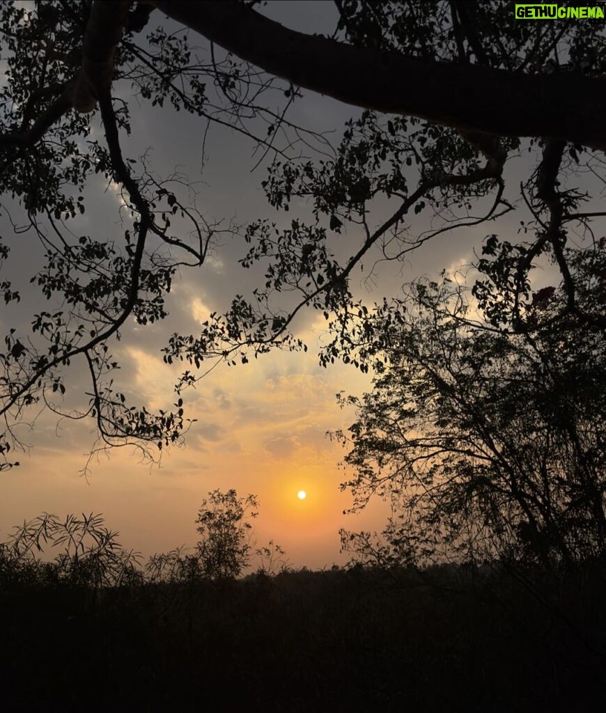 Palak Sindhwani Instagram - 4 days in silence under the loving care of @gurudev @shwetavyas1305 @kamleshbarwal were magical. ❤️ Kuch palo ke liye khudke saath bethoge toh ehsas hoga Zindagi sach mai bahut khoobsurat hai aur hum khamakha hi pareshan hote rehte hai ye jaan kar bhi ki chalni ye apne plan ke mutabiq hi hai aur koi hai jo hum sab ka khyaal rakh raha hai!! ✨ Let’s try to live in the present, Accept people and situations as they are and most importantly know that everything is temporary, So enjoy every moment as it comes, Make the most of your life, Spread happiness, Do seva, Be kind to yourself and others, That’s the Art of Living. 🧘‍♀️ #artofliving #aol #advancecourse #silence #signatureprogram #peace #divinity #nature #fyp #palaksindhwani