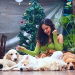 Palak Sindhwani Instagram - Your girl is thinking of adopting a furry baby, Should we?! 🥹🧚🏻‍♀️💗
