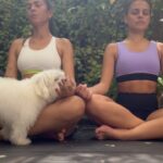 Paloma Bernardi Instagram - É disso que elas gostam!! TREINAR! #SQN é mentira! 🥴 MAS é verdade que malhar acompanhada, com as amigas e até com seu pet 🐾 é muito mais legal!😅 Então já marca sua amigo(a) aqui e chama pra fazer uns exercícios, com certeza com incentivo é mais gostoso, assim como comer uma besterinha depois tb, né @palomabernardi !? 😝 🏋🏻‍♀️💪🏽🧘🏻‍♀️ equilíbrio é tudo 🍷🍫🍕 #tbt