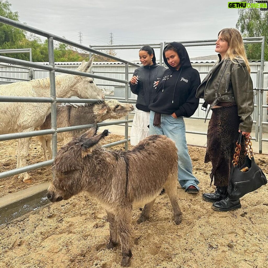 Paola Locatelli Instagram - la ferme! Los Angeles, California