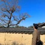 Park Bo-gum Instagram - 언젠가 추억하며 ‘그때 우리 좋았었다’ 말할 수 있을 여행 #셀린느옴므 #셀린느바이에디슬리먼 안동하회마을