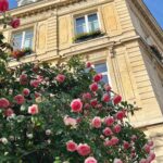 Park Bo-gum Instagram - Le jardin secret de Proust🪴 Paris, France