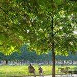 Park Bo-gum Instagram - Le jardin secret de Proust🪴 Paris, France