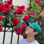 Park Bo-gum Instagram - “밝아져라“ ”맑아져라“ 기쁨 한 송이 받으시고 내내 행복하십시오🌹