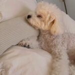 Park Gyu-young Instagram - 2️⃣👋