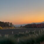 Park Gyu-young Instagram -