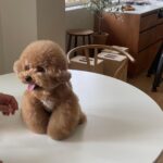 Park Gyu-young Instagram -