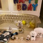 Park Min-young Instagram - 사랑하는 나의레옹이💛 happy 5th birthday 축하와 선물 편지 모두 잘받았어요 우리 레옹이까지 챙겨주셔서 넘나 감사해요. 그리고 더 사랑스러운 내 콩알들, 엄청나게 보고싶은밤입니다
