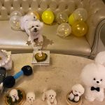 Park Min-young Instagram - 사랑하는 나의레옹이💛 happy 5th birthday 축하와 선물 편지 모두 잘받았어요 우리 레옹이까지 챙겨주셔서 넘나 감사해요. 그리고 더 사랑스러운 내 콩알들, 엄청나게 보고싶은밤입니다