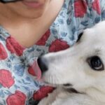 Parvathy Instagram - Here I was blurting out gibberish so intensely because I couldn’t contain my love for her! Kunjili (as I call her) saw my love and raised it by infinity with tail wags and licks and just pure love only kunjili could ever give! 🤍 @amiebrains her eyes though!