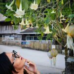 Parvathy Instagram - Took yellow very seriously. Seriously fun it is!💛 PS: I’ve been told since this post that this flower can be quite toxic so if anyone comes across this don’t go and smell it! 😐🫠