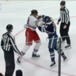 Pat McAfee Instagram - HOLY SHIT 🥊🥊 #HockeyIsAwesome 🎥: @nhl