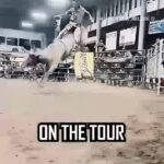 Pat McAfee Instagram - GET THIS BULL ON THE TOUR PBR