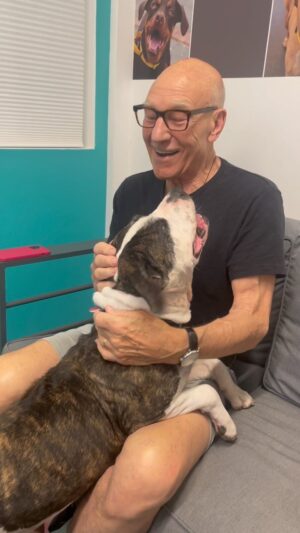 Patrick Stewart Instagram - Had a busy day today at @wagsandwalks. They’ve saved the lives of 10,000 dogs since their founding, and I’m personally so grateful for all the foster dog love they’ve brought to my life over the years. Join me in supporting them and your local shelter this #DogDay. WagsandWalks.org