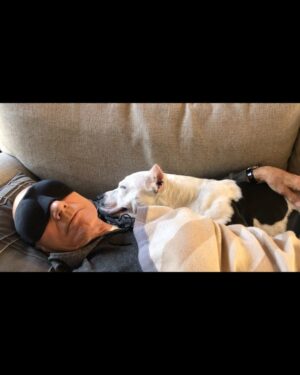 Patrick Stewart Instagram - Before #PitBullAwarenessMonth comes to a close, thought I’d share a HUG from our friend Lily and a few moments of bliss with three of our cherished foster loves Ginger, Emma, and sweet Lenny. @lilybug_lpb @ASPCA @WagsAndWalks @RSPCA
