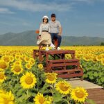 Pattarasaya Kreursuwansiri Instagram - My everything❤️🌻