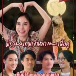 Pattarasaya Kreursuwansiri Instagram - คืนนี้ ep.1-2 ไปดูกันนะคะซิสส🥰🌈 #วาเลนไทน์อะเกนครั้งแรก #วาเลนไทน์อะเกน #ValentinesAgain #WeTVth #WeTVOriginal