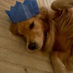 Paul Bettany Instagram - Mood