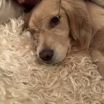 Paul Bettany Instagram - Photo by Jennifer