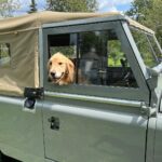 Paul Bettany Instagram - Dear @northamericaoverland Wallis is loving the truck.