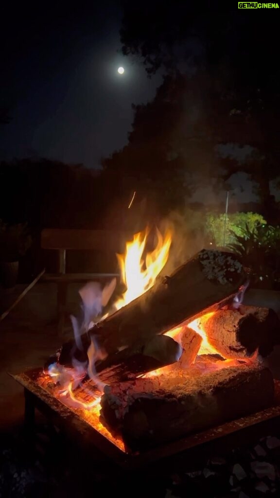 Paula Fernandes Instagram - Alguém mais viu o desenho de um pássaro de fogo na minha fogueira??? 🐤🔥