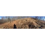 Penn Badgley Instagram -