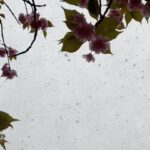 Penn Badgley Instagram - Sometimes It Snows In May