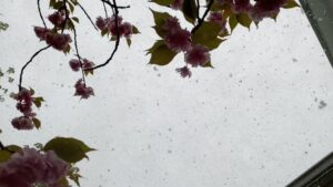 Penn Badgley Instagram - Sometimes It Snows In May