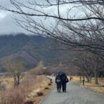 Perawat Sangpotirat Instagram – 🇯🇵🤍 Kawaguchiko, Fuji, Japan