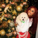 Phaedra Parks Instagram - My boo @phoenixisphun is ready for Christmas 🎄🎅🏾🐶 #dogsofinstagram Thanks @th_grooming for keeping him so fresh & clean 😘