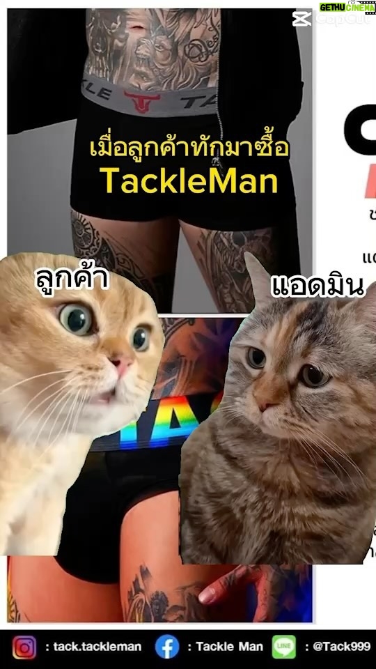 Pharanyu Rojanawuttitham Instagram - 🤣🤣🤣🤣🤣 @tack.tackleman โคตรจะแมวเลย กางเกงในที่ใครๆก็ใส่ได้#กางเกงใน#แมว#แมวบ่น#ทาสแมว