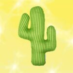 Phil Lester Instagram – My new 🌵HYDRATED💦 merch collection is out now – ft. two new shirts, a cactus cushion and a holographic tote!

I feel a deep emotional connection to these items and their very important health message – I hope you all feel the same. 🌍 amazingphilshop.com
🇺🇸 us.amazingphilshop.com