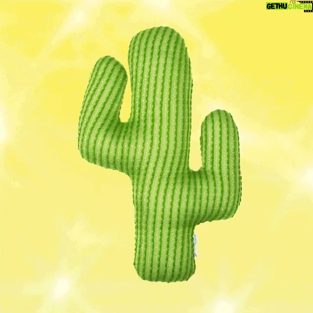 Phil Lester Instagram - My new 🌵HYDRATED💦 merch collection is out now - ft. two new shirts, a cactus cushion and a holographic tote! I feel a deep emotional connection to these items and their very important health message - I hope you all feel the same. 🌍 amazingphilshop.com 🇺🇸 us.amazingphilshop.com