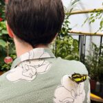 Phil Lester Instagram - safari zone core 🐛
