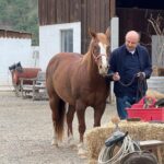 Phil McGraw Instagram - Just horsing around.