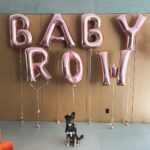Phil McGraw Instagram - Row’s welcoming committee/personal security! By the way... I am OF COURSE her favorite.