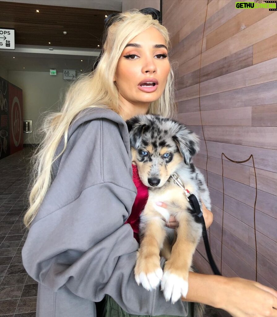 Pia Mia Instagram - happy times with blue willow