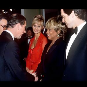 Pierce Brosnan Instagram - Farewell to an icon, rock-goddess and legend.  Proud to stand beside the extraordinary Tina Turner at of the premier of Goldeneye, Leicester Square, London November 1995. My sincere and heartfelt condolences to her family, friends and fans.  RIP