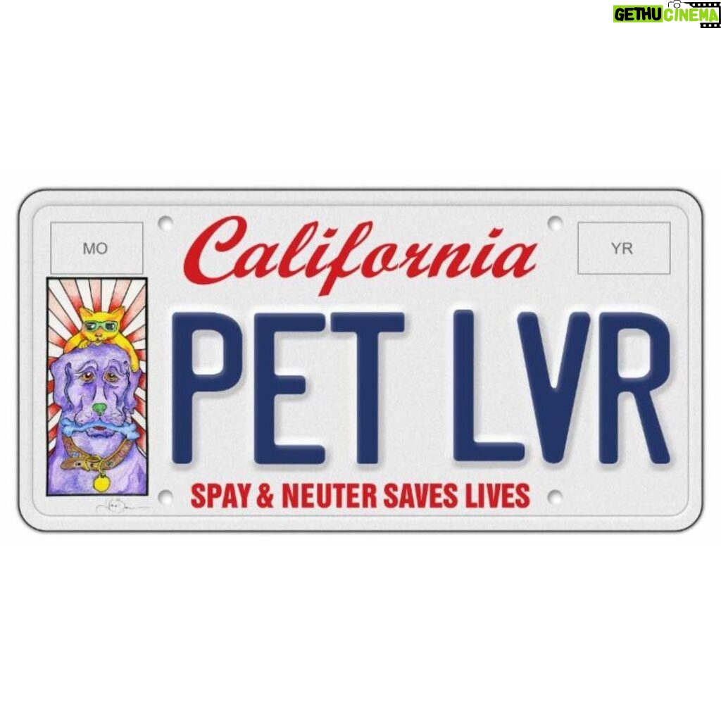 Pierce Brosnan Instagram - It’s National License Plate Day. I had the honor of creating art for a California Pet Lover’s Specialty License Plate, which showcases a painting of my beloved pets Shilo and Angel Baby. This license plate raises funds for free & low cost spay and neuter programs, making a positive impact on animal welfare. © Pierce Brosnan #piercebrosnanart