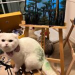 Pirapat Watthanasetsiri Instagram - ยิ่งเลอะยิ่งเยอะประสบการณ์ 😵🙄🐱