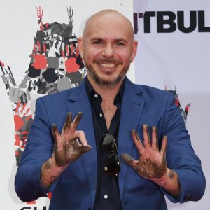 Pitbull Instagram - 4 years ago @chinesetheatres what an honor! Thanks to all the fans because without you there's no Pitbull, there's no movement, Dale!