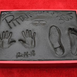 Pitbull Instagram - 4 years ago @chinesetheatres what an honor! Thanks to all the fans because without you there's no Pitbull, there's no movement, Dale!