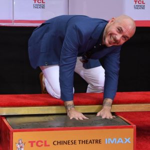Pitbull Instagram - 4 years ago @chinesetheatres what an honor! Thanks to all the fans because without you there's no Pitbull, there's no movement, Dale!