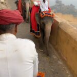 Pitchanart Sakakorn Instagram - ม้า ลา อูฐ ทริปนี้จั่วได้ ช้าง! ค่ะ🐘🐘🐘♥️ #ก็ว่าจะไม่รัก Amber Fort Jaipur, India