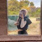 Pokimane Instagram - my first time camping :) vlog link in bio! 🏕️ Sycamore Canyon Campground