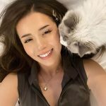 Pokimane Instagram - what's on ur mind vs what's on mine 💭 I love cats