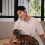 Prachaya Ruangroj Instagram - Your mistake was to think that I'm one of your cats. 😏
