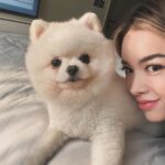 Preechaya Pongthananikorn Instagram - ตอนที่ยื่นมือไป..นี่คือ มือแรกที่ยืนมาจับ My bedroom 🚫 My Dogroom ✅ #อย่าทิ้งเค้าน้าพลีส