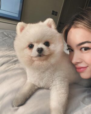 Preechaya Pongthananikorn Instagram - ตอนที่ยื่นมือไป..นี่คือ มือแรกที่ยืนมาจับ
 My bedroom 🚫
My Dogroom ✅
#อย่าทิ้งเค้าน้าพลีส