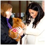 Prince Harry, Duke of Sussex Instagram - As we continue to reflect on some of the organisations supported by The Duke and Duchess of Sussex, today we wanted to share more about @TheMayhew, an animal welfare charity which The Duchess became Patron of earlier this year. Mayhew believes in the power of community and the special bond between humans and animals, which is why their programming does not simply focus on rescuing animals but rather takes a more holistic approach to shaping the lives of pets and humans, alike. Their TheraPaws dogs and volunteers now visit not just care homes and hospitals, but also mental health facilities and youth groups – expanding the benefits of animal assisted therapy into much needed areas. They also work with the homeless community assisting with treatments and check ups for their pets so that the most vulnerable can trust that their pet will remain by their side. This year, Mayhew has continued its specialized work overseas, vaccinating more than 30,000 dogs against rabies and other diseases, and empowering locals to improve animal welfare humanely and sustainably. The Duchess is also proud that they are creating opportunities for women, with the female led vet team in Kabul neutering 2,500 dogs so far this year. As a long-time rescue dog owner, The Duchess of Sussex is proud to be Mayhew’s Patron and applauds them for the vital work that they do every day. Please visit @TheMayhew to learn more, as Mayhew continue their very important contribution to the community for all of us and the pets we hold dear. Photo © PA / Ivan Flores / Tamara Yoxall